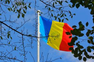 202310-tricolored-flag.jpg