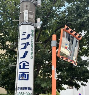 信浓信浓.jpg